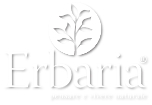 Erbaria Logo